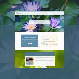Création site web responsive wordpress