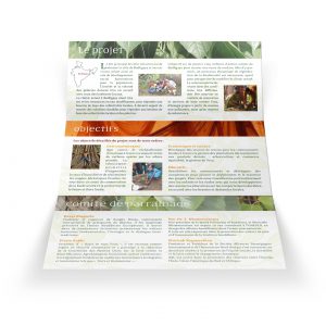 Création communication imprimée brochure en trois volets