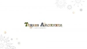 Identité graphique et conception site internet responsive wordpress