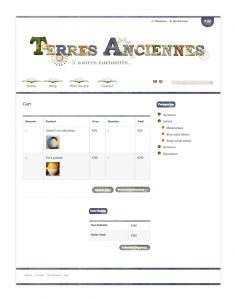 Identité graphique et conception site internet responsive wordpress