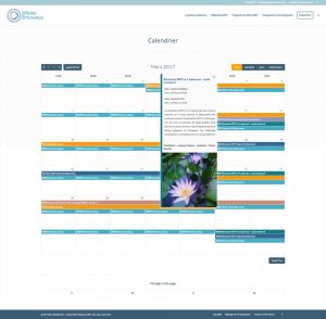Conception site internet calendrier responsive wordpress