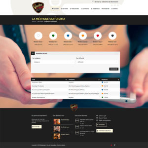 Site internet responsive wordpress pour apprentissage guitare