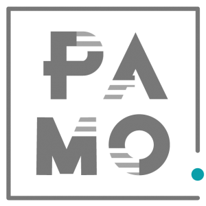 Logo Pamo Webdesigner Graphiste Illustratrice