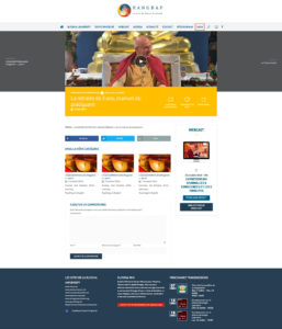 Site internet responsive wordpress pour enseignements vidéos