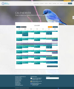 Réalisation site web responsive Institut Pleine Présence page calendrier