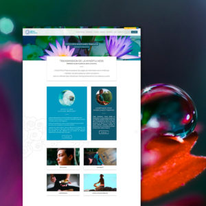 Réalisation site web responsive Institut Pleine Présence
