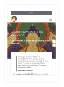 Réalisation site web responsive Institut Dharma page programme