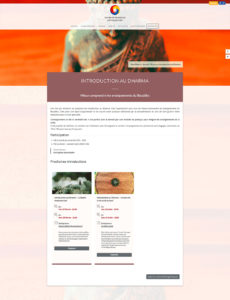 Création site web Lyon