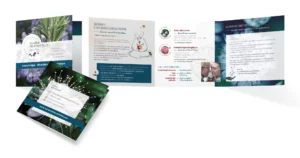 Flyer 3 volets imprimé avec l'identité visuelle