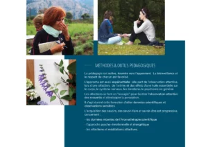 Mise en page Brochure PDF Formation Aromathérapie sensorielle