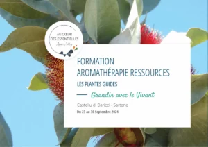 Mise en page Brochure PDF Formation Aromathérapie sensorielle