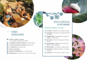 Mise en page Brochure PDF Formation Aromathérapie sensorielle