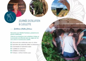 Mise en page Brochure PDF Formation Aromathérapie sensorielle