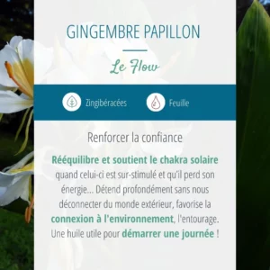 Modèle graphique pour post réseaux sociaux - carrousel post instagram - Aromathérapie sensorielle
