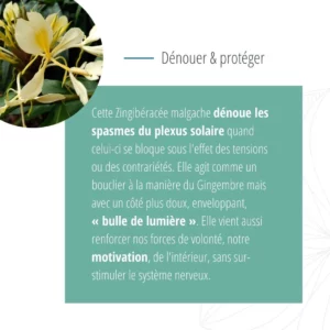 Modèle graphique pour post réseaux sociaux - carrousel post instagram - Aromathérapie sensorielle