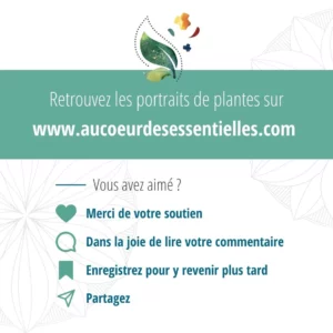 Modèle graphique pour post réseaux sociaux - carrousel post instagram - Aromathérapie sensorielle