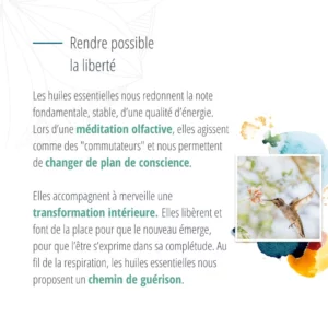 Modèle graphique pour post réseaux sociaux - carrousel post instagram - Aromathérapie sensorielle