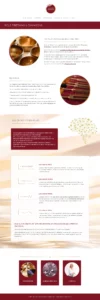 Page site web wordpress Sonothérapie