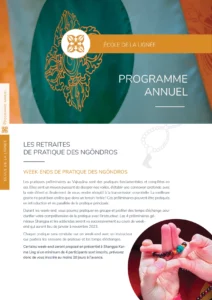 Mise en page Brochure PDF Programme avec graphisme méditation pleine présence et dharma